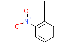 1-(叔丁基)-2-硝基苯