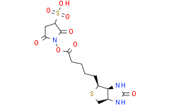 2,5-二氧代-1-((5-((3aS,4S,6aR)-2-氧代六氢-1H-噻吩并[3,4-d]咪唑-4-基)戊酰基)氧基)吡咯烷-3-磺酸