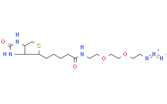 生物素-PEG2-叠氮化物