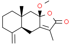 8β-Methoxyatractylenolide I