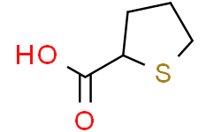 四氫噻吩-2-羧酸