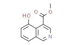 5-羟基异喹啉-4-羧酸甲酯