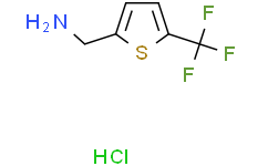 [5-(三氟甲基)噻吩-2-基]甲胺盐酸盐