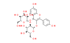 山奈酚-3-O-β-D-槐糖苷