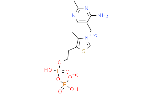 焦磷酸硫胺素