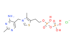 硫胺素焦磷酸(TPP)/辅羧酶