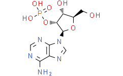 腺苷2'（3'）-单磷酸盐混合异构体