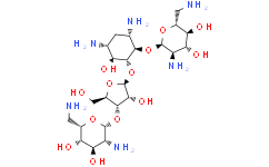新霉素B