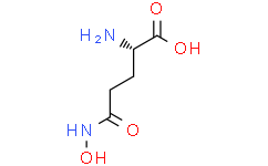 L-谷氨酸γ-单异羟肟酸