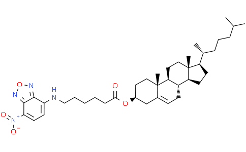 5-胆甾烯-3β-醇6-[((7-硝基-2-1,3-苯并恶二唑-4-基)氨基]己酸