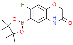 7-氟-6-(4,4,5,5-四甲基-1,3,2-二氧硼杂环戊烷-2-基)-2H-苯并[b][1,4]恶嗪-3(4H)-酮
