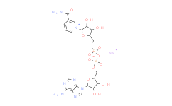 β-烟酰胺腺嘌呤二核苷酸钠盐