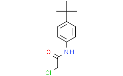 N-(4-(叔丁基)苯基)-2-氯乙酰胺