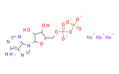 ADP,5'二磷酸腺苷钠盐