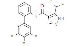 N-去甲基氟唑菌酰胺