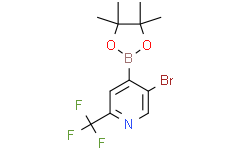 5-溴-4-(4,4,5,5-四甲基-1,3,2-二氧硼杂环戊烷-2-基)-2-(三氟甲基)吡啶