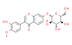 毛蕊异黄酮苷