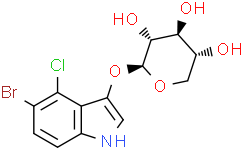 5-溴-4-氯-3-吲哚基β-D-吡喃吡喃糖苷