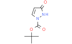 3-氧代-2,3-二氢-1H-吡唑-1-甲酸叔丁酯
