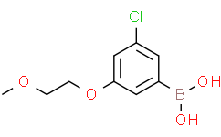 (3-氯-5-(2-甲氧基乙氧基)苯基)硼酸