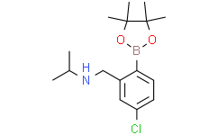 N-(5-氯-2-(4,4,5,5-四甲基-1,3,2-二氧硼杂环戊烷-2-基)苄基)丙-2-胺