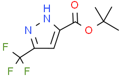 3-(三氟甲基)-1h-吡唑-5-羧酸叔丁酯