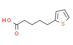 5-噻吩戊酸