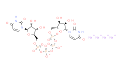 P1,P4-Di(uridine-5′-tetraphosphate)