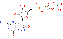 8-羟基鸟苷5'-三磷酸 钠盐