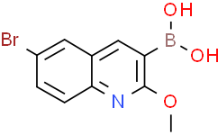 6-溴-2-甲氧基喹啉-3-硼酸