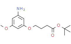 tert-butyl 4-(3-amino-5-methoxyphenoxy)butanoate