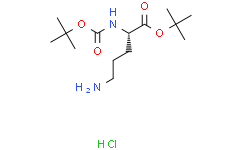 N-(叔丁氧羰基)-L-鸟氨酸叔丁酯盐酸盐