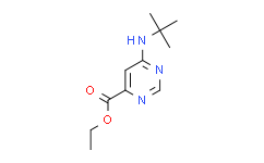 6-(叔丁基氨基)嘧啶-4-羧酸乙酯