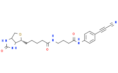 APN-C3-生物素