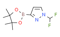 1-二氟甲基吡唑-3-硼酸频哪醇酯