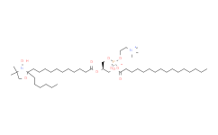 1-棕榈酰-2-硬脂酰(12-DOXYL)-sn-甘油-3-磷酸胆碱