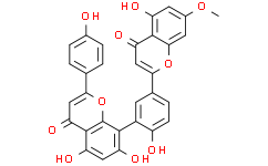 红杉双黄酮