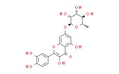 Quercetin 7-rhamnoside