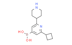 2-Cyclobutyl-6-(piperidin-4-yl)pyridine-4-boronic acid