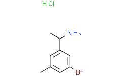 1-(3-溴-5-甲基苯基)乙胺盐酸盐