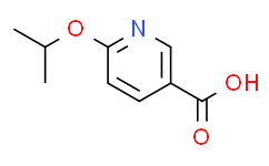 2-异丙基醚-5-羧基吡啶