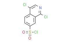 1,4-二氯异喹啉-7-磺酰氯
