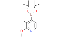 3-氟-2-甲氧基-4-(4,4,5,5-四甲基-1,3,2-二氧硼杂环戊烷-2-基)吡啶