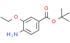 4-氨基-3-乙氧基苯甲酸叔丁酯