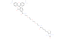 TAMRA-PEG3-biotin