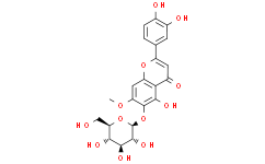 胡麻素-6-O-葡萄糖苷