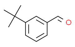 3-叔丁基苯甲醛