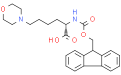 (S)-2-((((9H-芴-9-基)甲氧基)甲酰基)氨基)-6-吗啉己酸盐酸盐
