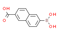6-二羟硼基-2-萘甲酸