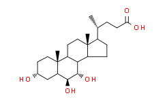 α-鼠胆酸